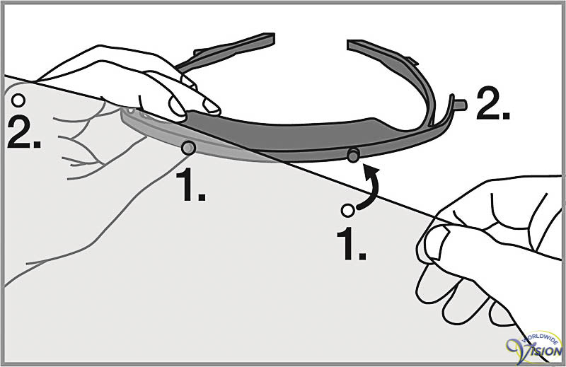 Schweizer potection shield for face